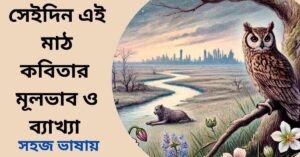 সেইদিন এই মাঠ কবিতার মূলভাব ও ব্যাখ্যা
